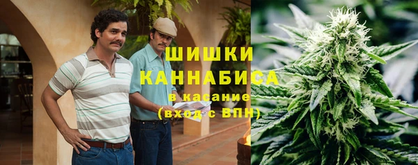 ПСИЛОЦИБИНОВЫЕ ГРИБЫ Заволжск