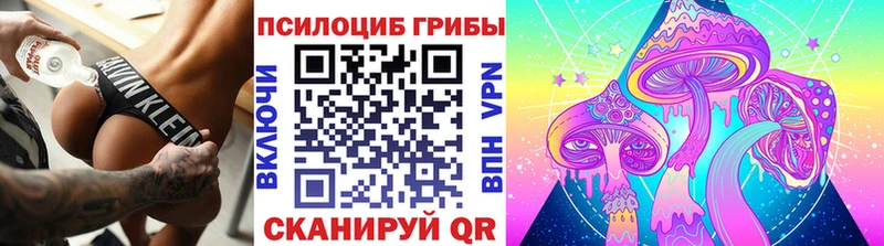 Купить  Кувандык  Галлюциногенные грибы ЛСД 