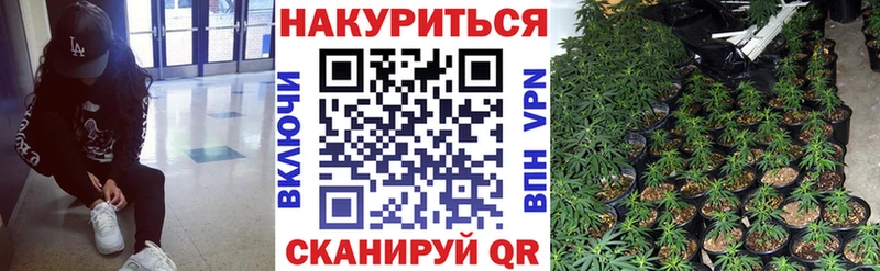 Купить где  Кувандык  Шишки марихуана тримм 